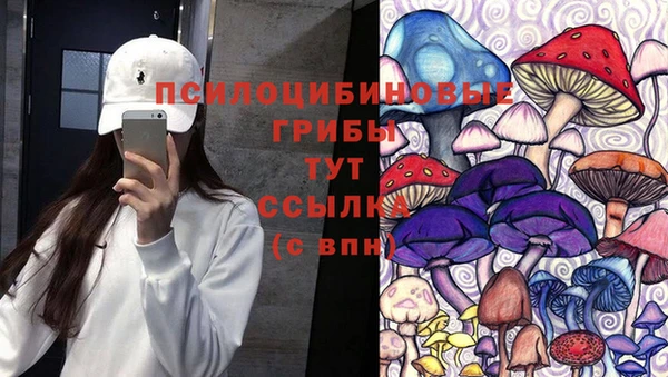 Альфа ПВП Новокубанск